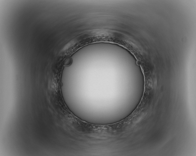 X0000116370869200912021151