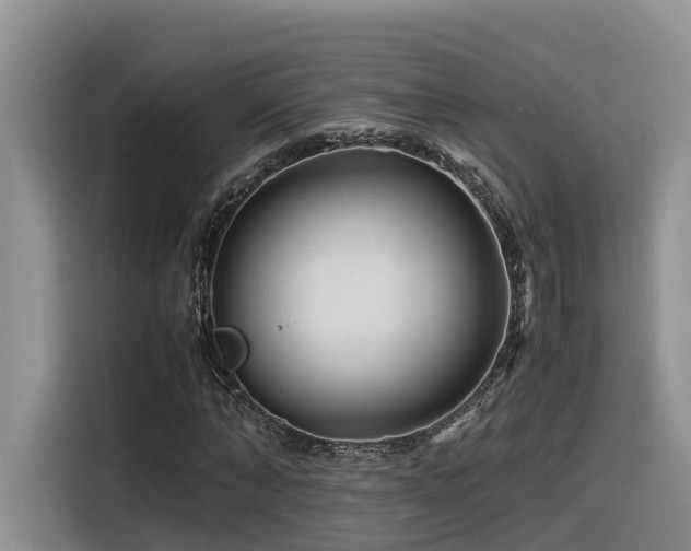 X0000116370870200912021151