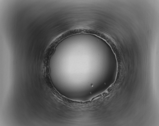 X0000116370872200912021151