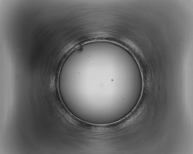 X0000116370873200912021151