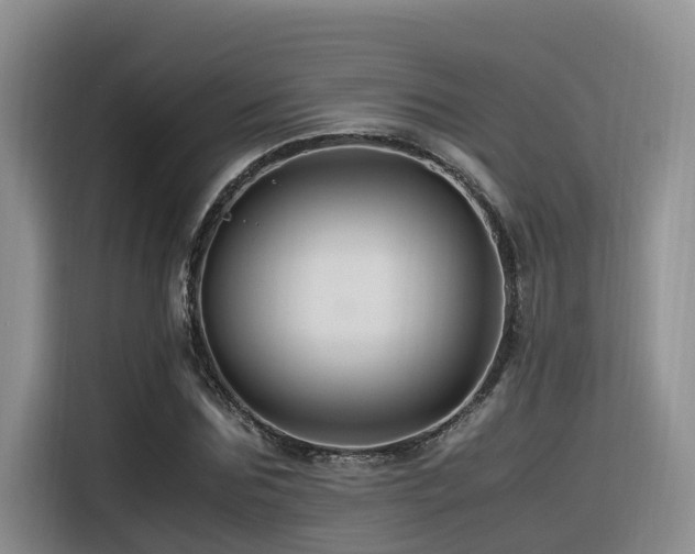 X0000116370875200912021151