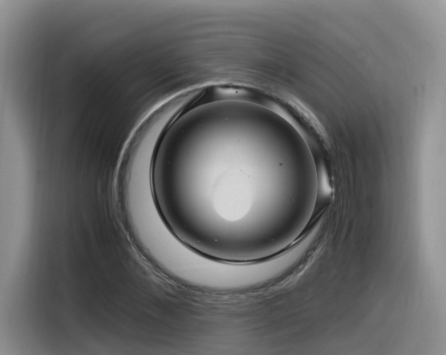 X0000116370876200912021151