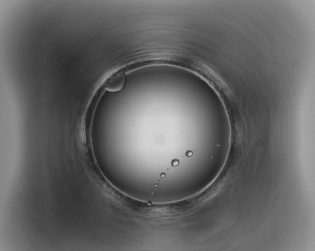 X0000116370883200912021151