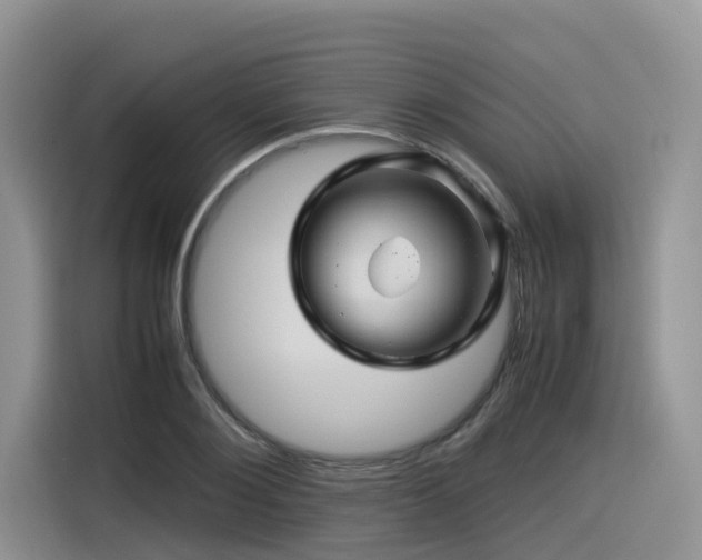 X0000116370884200912021151