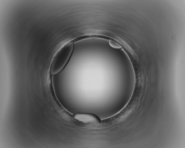X0000116370885200912021151
