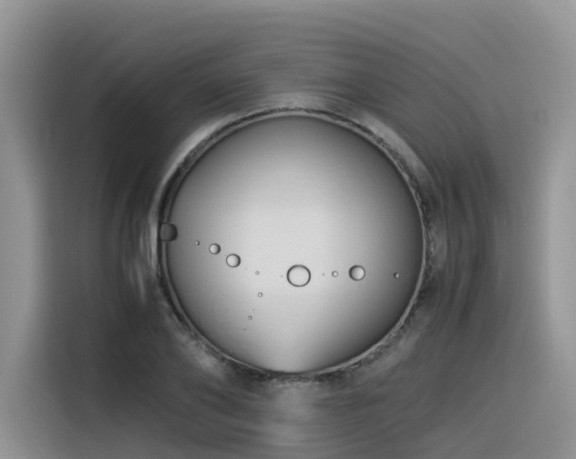 X0000116370886200912021151