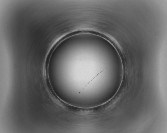 X0000116370887200912021151