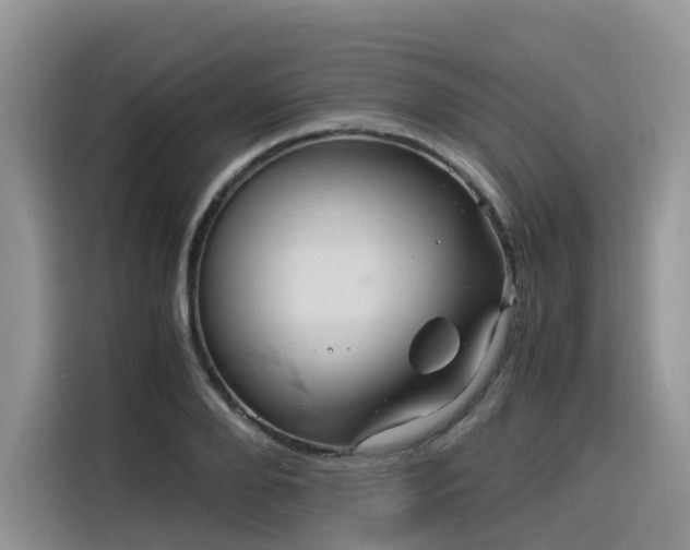 X0000116370888200912021151