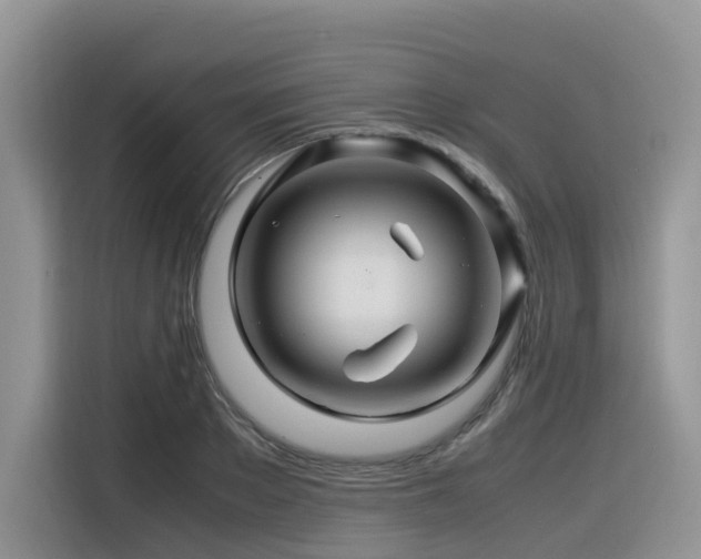 X0000116370889200912021151
