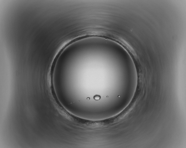 X0000116370891200912021151