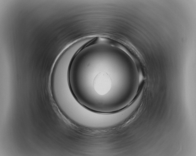 X0000116370892200912021151