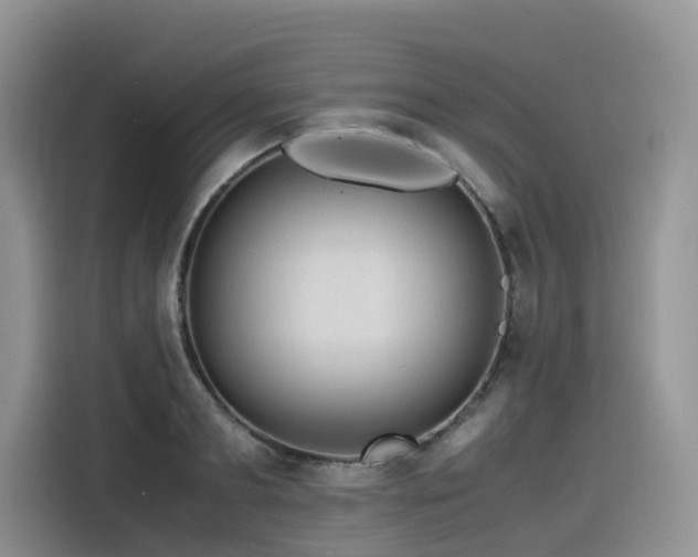 X0000116370893200912021151