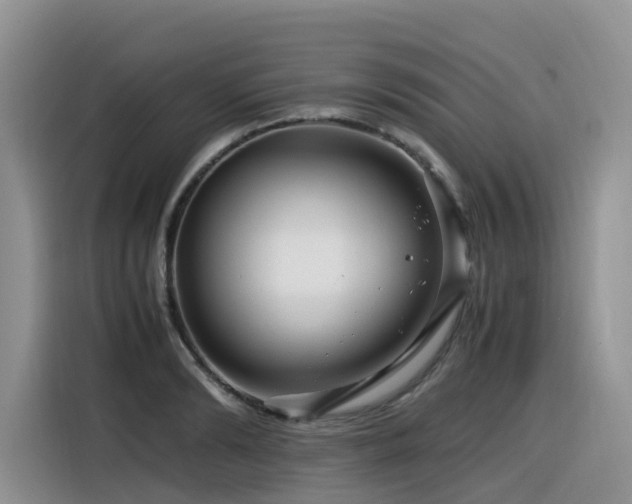 X0000116370894200912021151