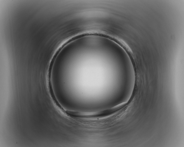 X0000116370895200912021151