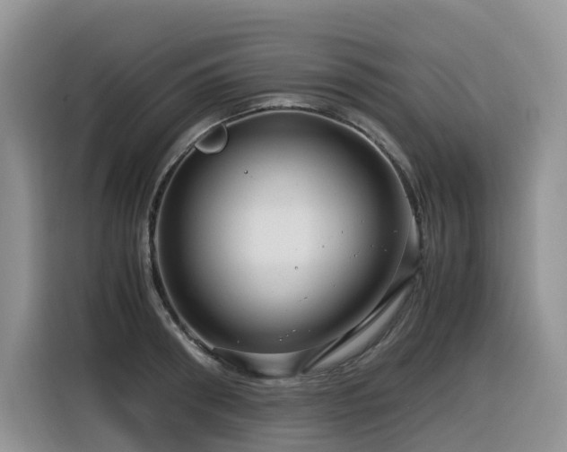 X0000116370898200912021151