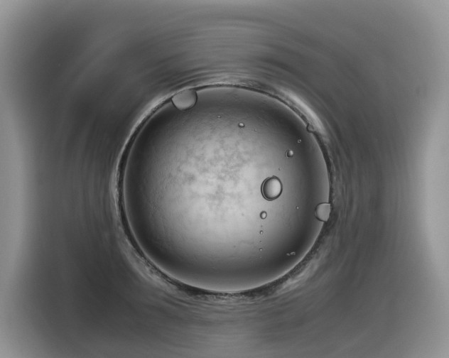 X0000116370899200912021151