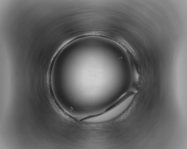X0000116370900200912021151