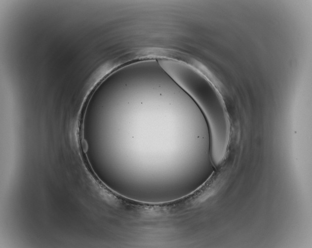 X0000116370901200912021151