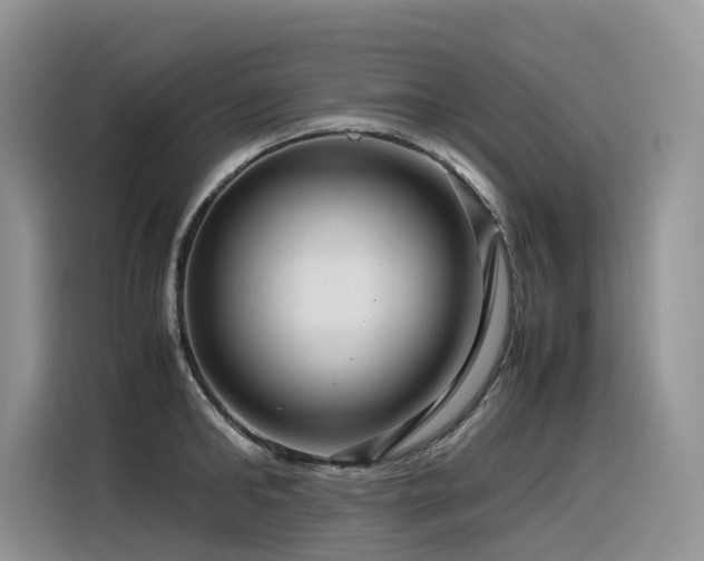 X0000116370902200912021151