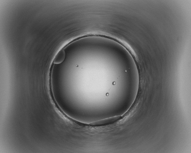 X0000116370903200912021151