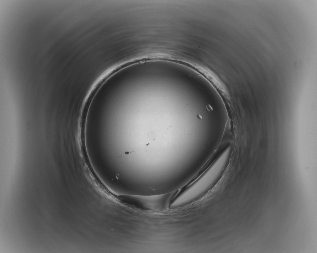 X0000116370904200912021151