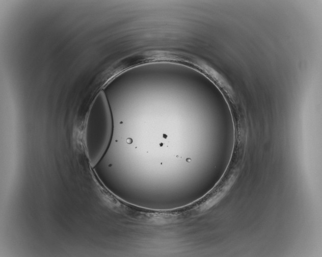 X0000116370905200912021151
