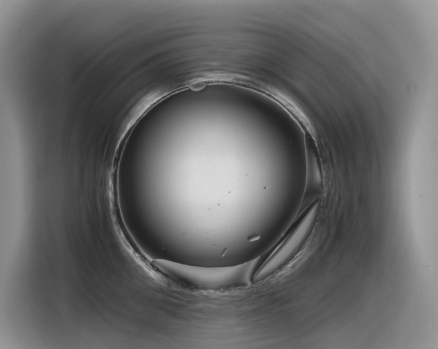 X0000116370906200912021151