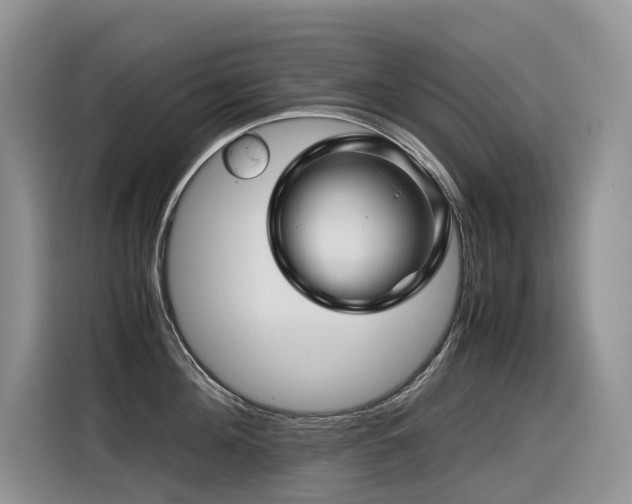 X0000116370908200912021151