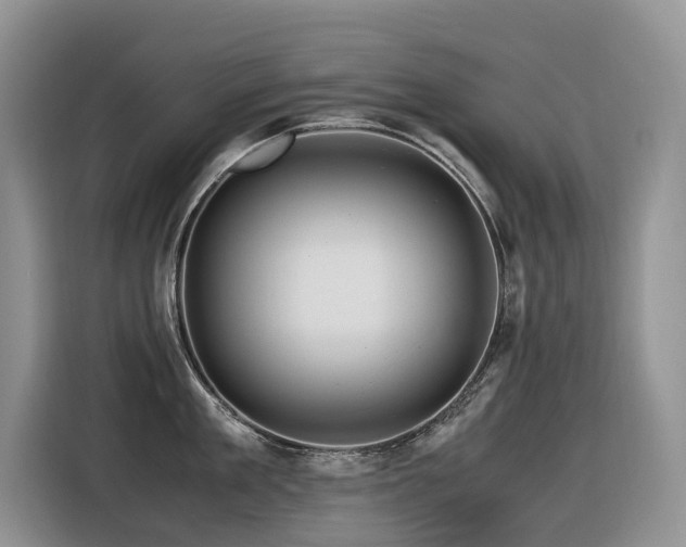 X0000116370909200912021151