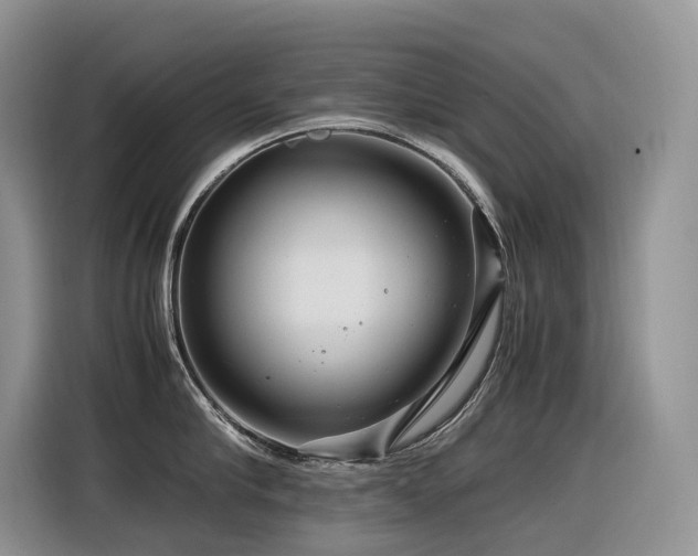 X0000116370910200912021151