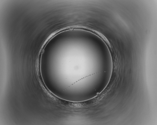 X0000116370911200912021151