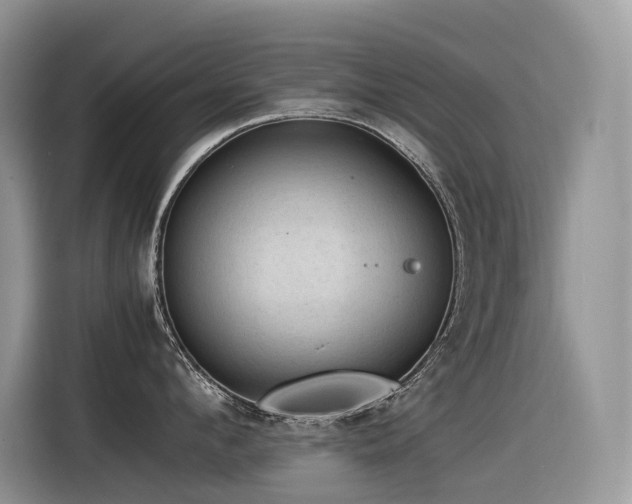 X0000116370912200912021151