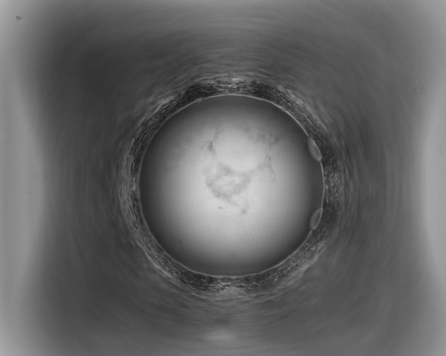 X0000116370913200912021150