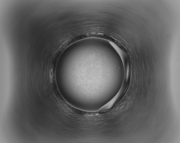 X0000116370915200912021150