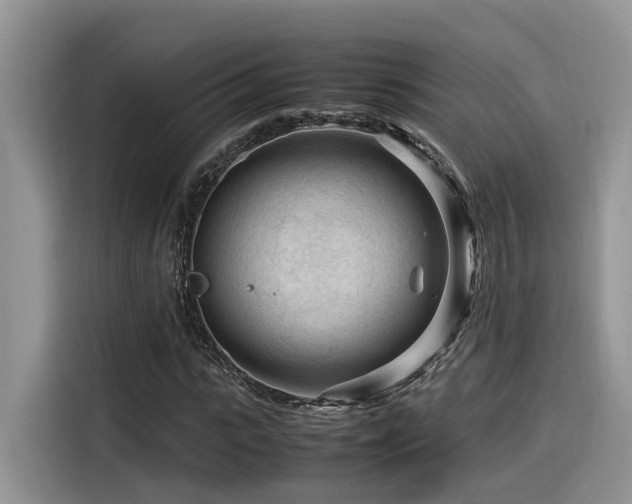 X0000116370919200912021150