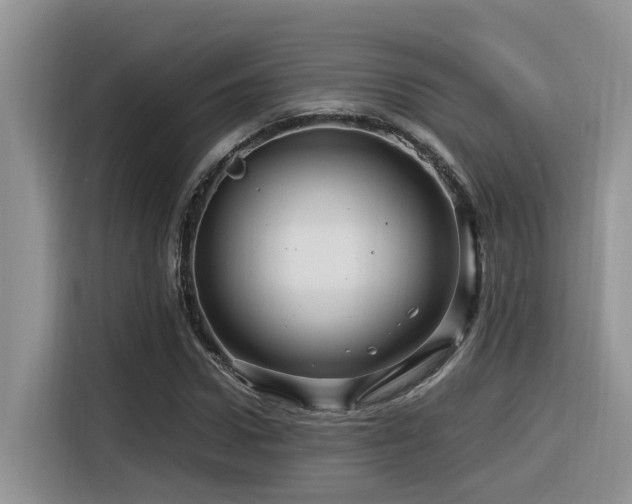 X0000116370922200912021150