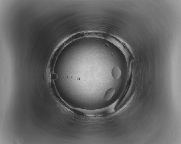 X0000116370925200912021150
