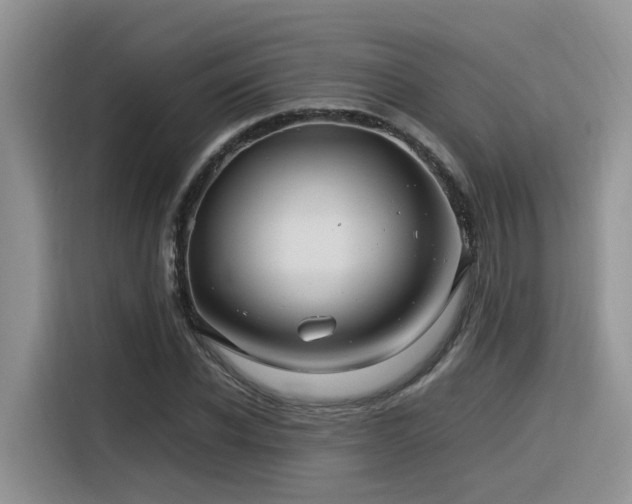 X0000116370926200912021150