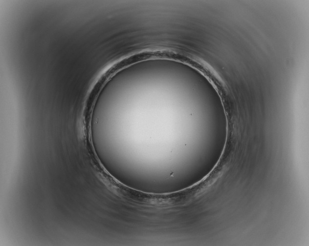 X0000116370927200912021150