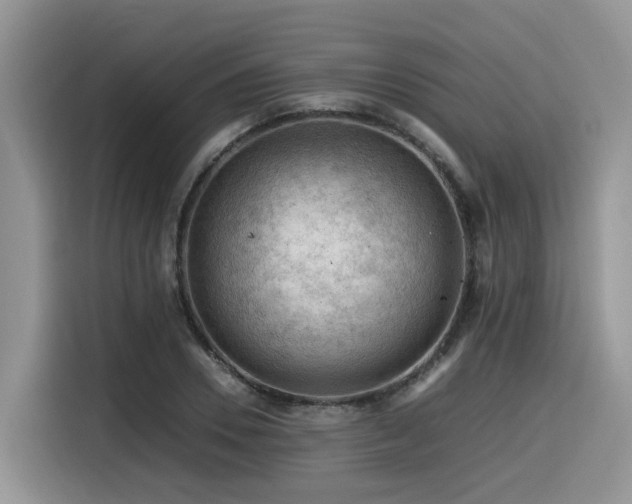 X0000116370930200912021150
