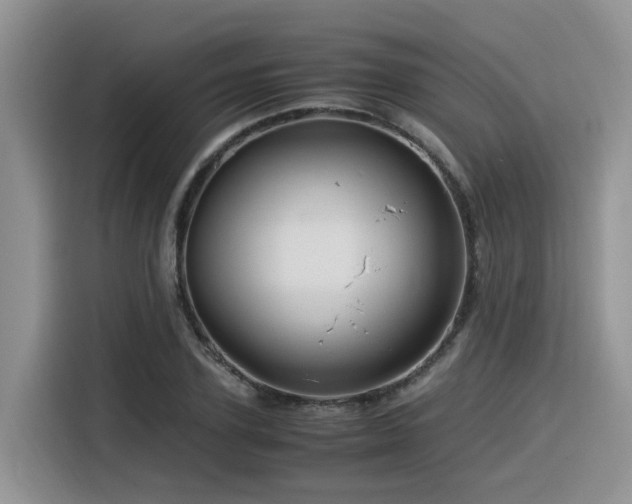 X0000116370931200912021150