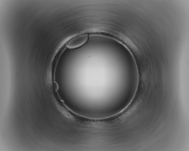 X0000116370934200912021150