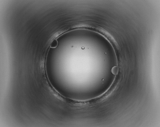 X0000116370937200912021150