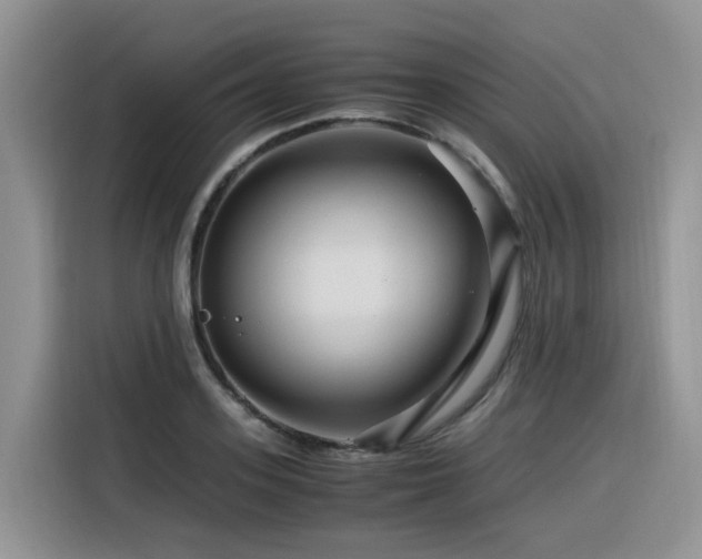 X0000116370939200912021150