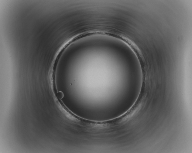 X0000116370941200912021150