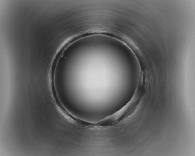 X0000116370942200912021150