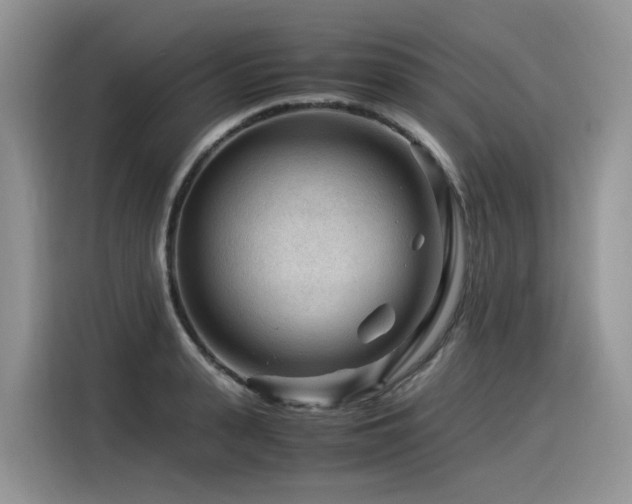 X0000116370943200912021150