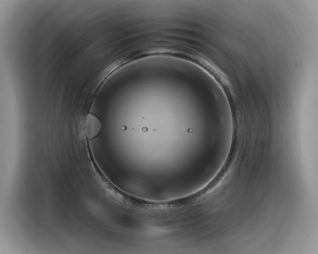 X0000116370945200912021151