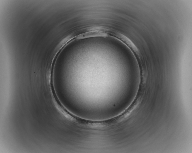 X0000116370946200912021151