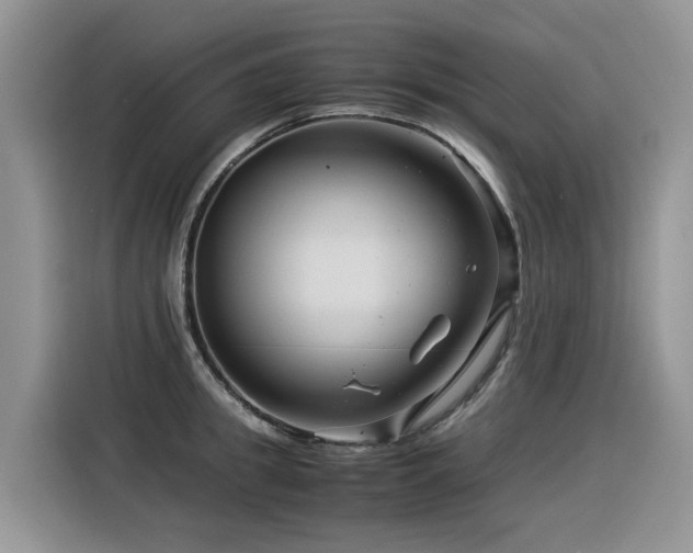 X0000116370949200912021151